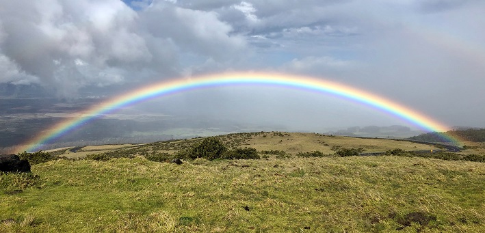 Commentary on Genesis 9:8-17 - Working Preacher from Luther Seminary