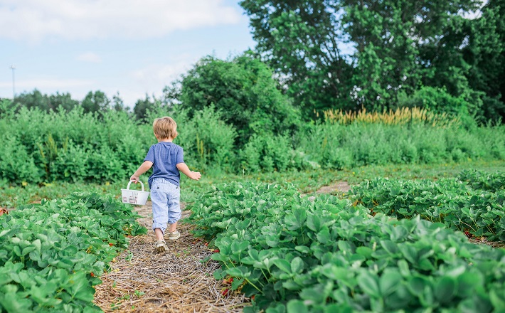 Child walking in garden