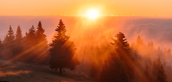 Sunrise rays shine over valley