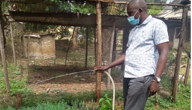 Man watering seedlings in Kenya