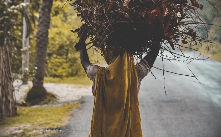 Woman carrying heavy bundle of wood on head