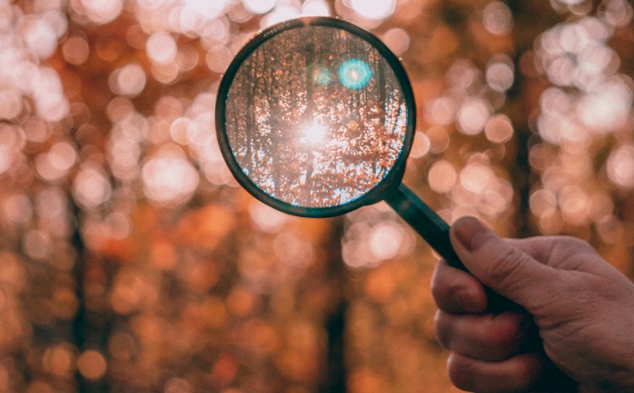 Magnifying glass in front of autumn trees