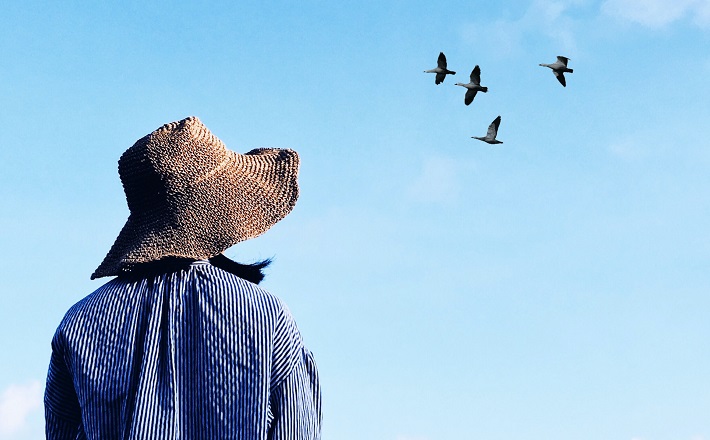 Woman with hat watches birds fly in blue sky