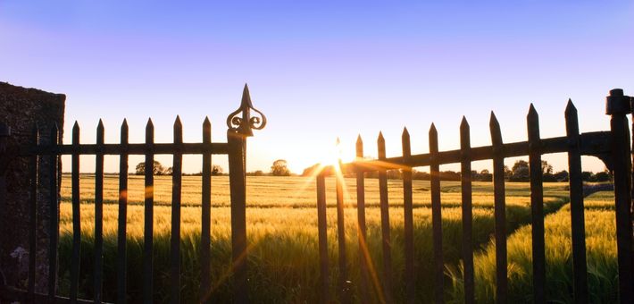 a metal gate opening to a wheat field at sunset