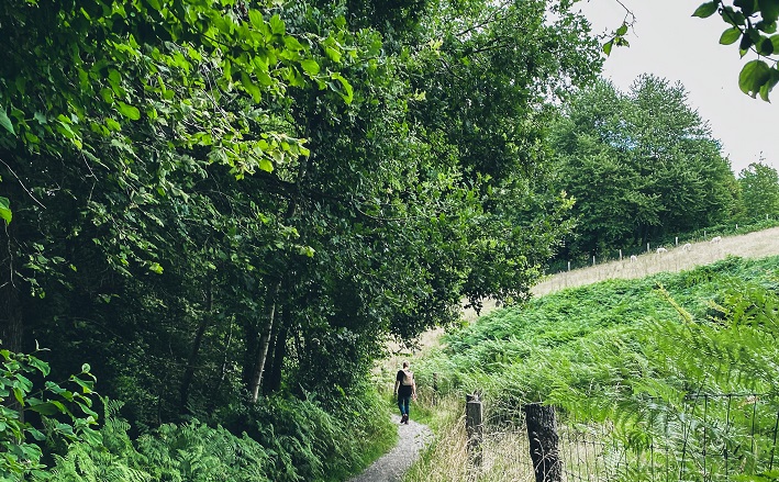 man walking on trail in green forest