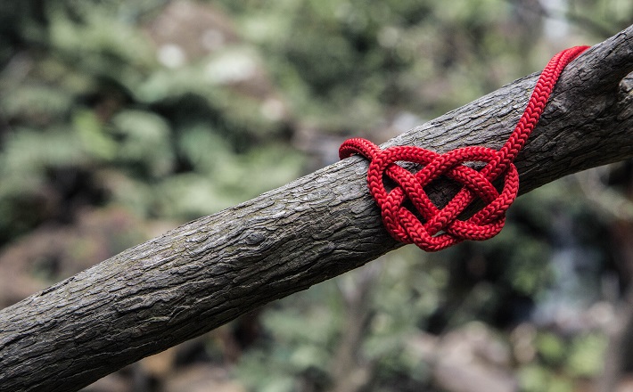 Red rope in a heart-shaped knot in the woods