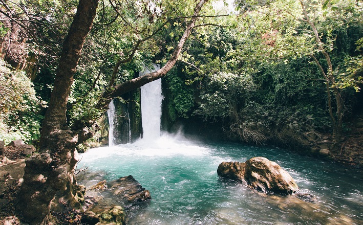 waterfall in mountain stream