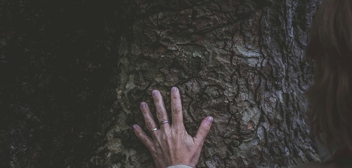 Hand reaching out to touch a rough surface