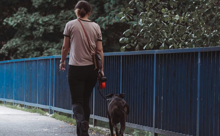Man walking with dog away from camera