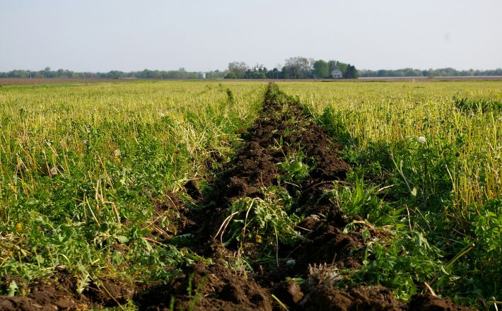 Furrow from plough in green field
