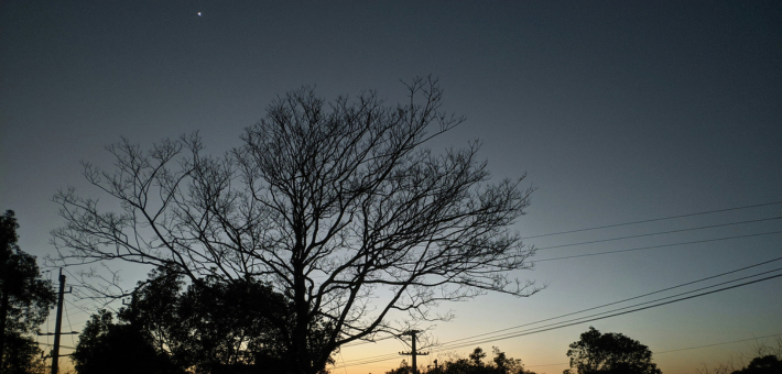 image of a morning sky with a small star visible at the top
