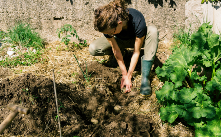 a person kneeling down in the dirt near a garden