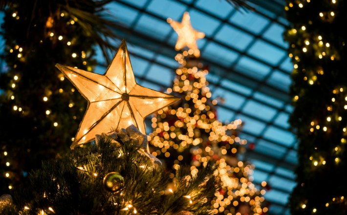 Close up photography of lighted yellow star Christmas tree topper