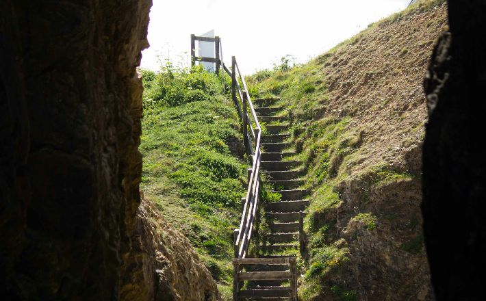 Why I Preach the Narrative Lectionary