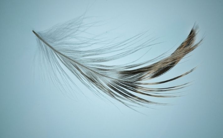A feather on the breath of God.